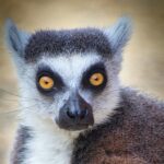 marcel-l-7_1iMyBM1z8-unsplash