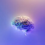 milad-fakurian-58Z17lnVS4U-unsplash