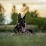nygi-K-KaMk4EmM0-unsplash